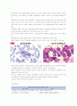 방통대 < 기초간호과학> 중간과제물 5페이지