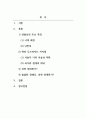 비평문(영화)_위대한 개츠비_감독 배즈 루어먼 2페이지