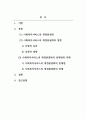 사회복지행정론_사회복지서비스의 재정분권화의 문제점과 과제를 논하시오. 2페이지
