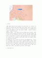 미용학_내가 꿈꾸는 미용관련 산업을 결정하고 이를 위한 사업계획서(업체명, 조직도, 시장(입지)분석, 사업전략, 재무계획을 포함한) 예상하여 작성해보시오. 6페이지