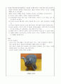 교과교육론_놀이중심 활동계획안 4페이지