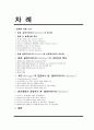 영화 글래디에이터 네러티브 분석 복수Revenge와 정치권력의 관점으로 2페이지