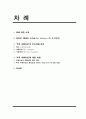 부의 추월차선 분석, 서평, 독후감, 부를 위한 빠른 길과 느린 길 중 어느 길이 좋을까 2페이지