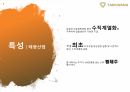 태광산업과 효성 기업 조사(PPT) 17페이지