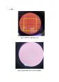 Cell Seeding and Subculture(세포배양, 계대배양) 결과레포트 15페이지