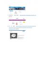 Primary Cell culture & Subculture(쥐해부, 초대배양, 계대배양) 결과레포트 19페이지
