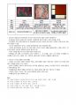 명화이야기 41페이지