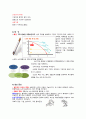 A+ 자료 만성폐쇄성폐질환 COPD (Chronic Obstructive Pulmonary Disease) Case study 4페이지