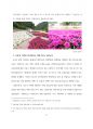 코로나 시대의 새로운 관광 트렌드, 마이크로 투어리즘(관광산업경영론) 6페이지