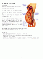 여성간호학, 시뮬레이션 간호실습, 자연분만 5페이지