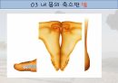 걷기운동의 원리 ppt 7페이지