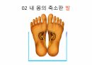 걷기운동의 원리 ppt 8페이지