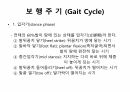 걷기운동의 원리 ppt 17페이지
