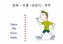 걷기운동의 원리 ppt 19페이지