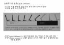 걷기운동의 원리 ppt 21페이지