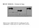 걷기운동의 원리 ppt 22페이지