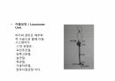 걷기운동의 원리 ppt 24페이지