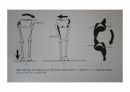 걷기운동의 원리 ppt 34페이지