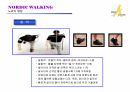 노르딕워킹 ppt 14페이지