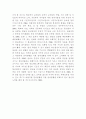 온라인상에서의 한글 사용에 대한 언어적 고찰 21페이지