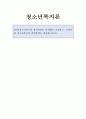 청소년복지론 1페이지