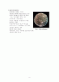 목성에 대한 레포트 6페이지