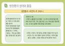 교육사조- 방정환 8페이지