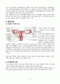 여성간호실습, A+, pyometra, 자궁축농증 4페이지