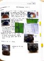 oxidation 실험 레포트 5페이지