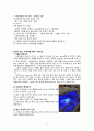 A+보장 아동간호학 실습 신생아 황달 jaundice 간호과정 2개(완전꼼꼼) 6페이지