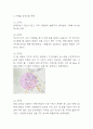사업계획서 - 무인 셀프 코인빨래방 (코인세탁소) 창업 사업계획서 5페이지