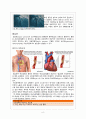 Anginal pectoris(협심증) 간호과정 6페이지