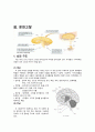 intracerebral hemorrhage(ICH) 케이스스터디 4페이지