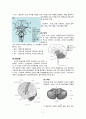 intracerebral hemorrhage(ICH) 케이스스터디 5페이지
