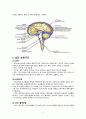 intracerebral hemorrhage(ICH) 케이스스터디 6페이지