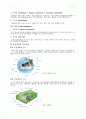 실험 5주차_동물세포 및 식물세포의 관찰 결과 Report 6페이지