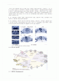 개구리 발생 관찰 결과 Report 7페이지