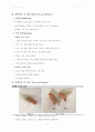실험 13주차_야생형 및 돌연변이 초파리 관찰 결과 Report 6페이지