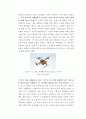 DHL & FedEx 심층 비교분석(기업소개, 국제특송, 서비스 종류, 경영전략, 차별화전략, 광고전략, 사회적 책임) 27페이지