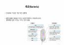 의과대 학생이 작성한 항생제 관련 자료(항생제 분류 및 종류, 일반원칙,병용투여, 주의사항) 6페이지
