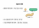 의과대 학생이 작성한 항생제 관련 자료(항생제 분류 및 종류, 일반원칙,병용투여, 주의사항) 7페이지