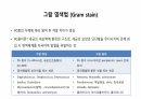 의과대 학생이 작성한 항생제 관련 자료(항생제 분류 및 종류, 일반원칙,병용투여, 주의사항) 11페이지