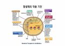 의과대 학생이 작성한 항생제 관련 자료(항생제 분류 및 종류, 일반원칙,병용투여, 주의사항) 14페이지