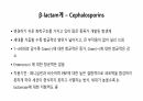 의과대 학생이 작성한 항생제 관련 자료(항생제 분류 및 종류, 일반원칙,병용투여, 주의사항) 21페이지