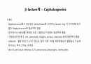 의과대 학생이 작성한 항생제 관련 자료(항생제 분류 및 종류, 일반원칙,병용투여, 주의사항) 23페이지