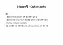 의과대 학생이 작성한 항생제 관련 자료(항생제 분류 및 종류, 일반원칙,병용투여, 주의사항) 24페이지
