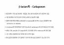 의과대 학생이 작성한 항생제 관련 자료(항생제 분류 및 종류, 일반원칙,병용투여, 주의사항) 28페이지