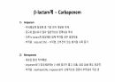 의과대 학생이 작성한 항생제 관련 자료(항생제 분류 및 종류, 일반원칙,병용투여, 주의사항) 29페이지