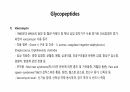 의과대 학생이 작성한 항생제 관련 자료(항생제 분류 및 종류, 일반원칙,병용투여, 주의사항) 31페이지