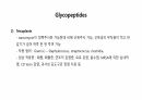 의과대 학생이 작성한 항생제 관련 자료(항생제 분류 및 종류, 일반원칙,병용투여, 주의사항) 32페이지